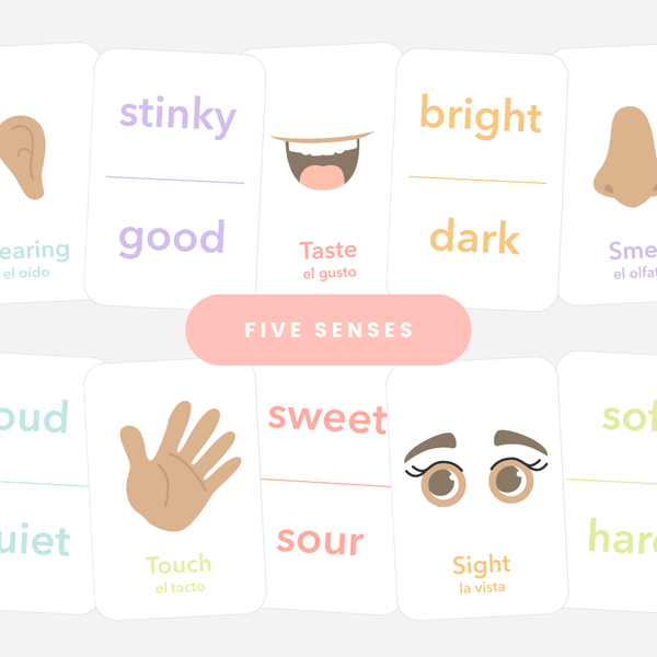 Colorful 5 Senses Flashcards for babies, promoting sensory exploration and learning through fun activities.