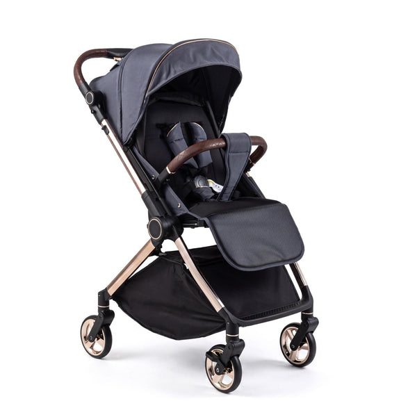 Foldable Baby Stroller with Reversible Handle