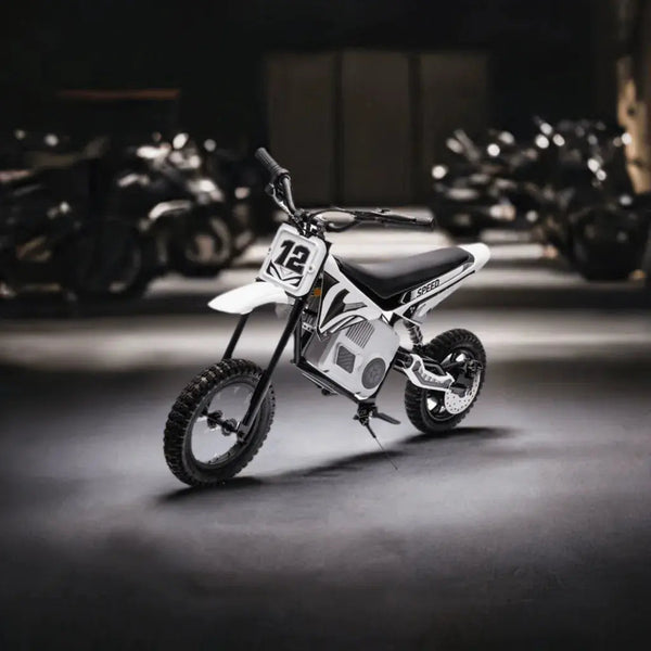 36V Freddo Electric Dirt Bike for Teens