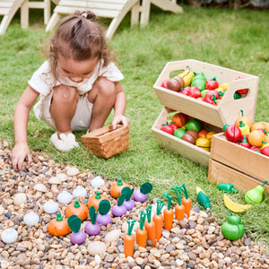 Fresh Produce Set C (Red Radishes, Garlics & Yellow Bell Peppers)