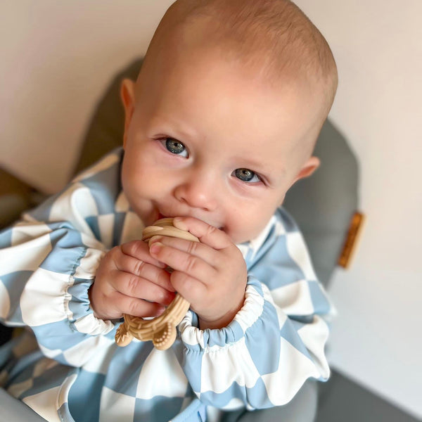 The Nourishing Nibbler Bunny Feeder