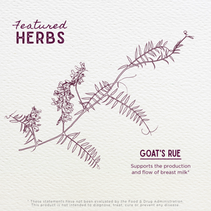 Goat's Rue Lactation Aid