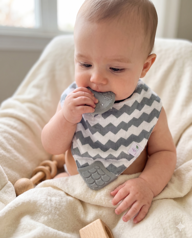 Healthy Horizons Reversible Bib with Silicone Teether