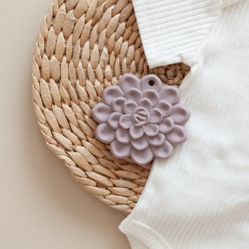 "Succulent teethers for babies, designed for soothing gums and safe chewing, shown at angle 18."