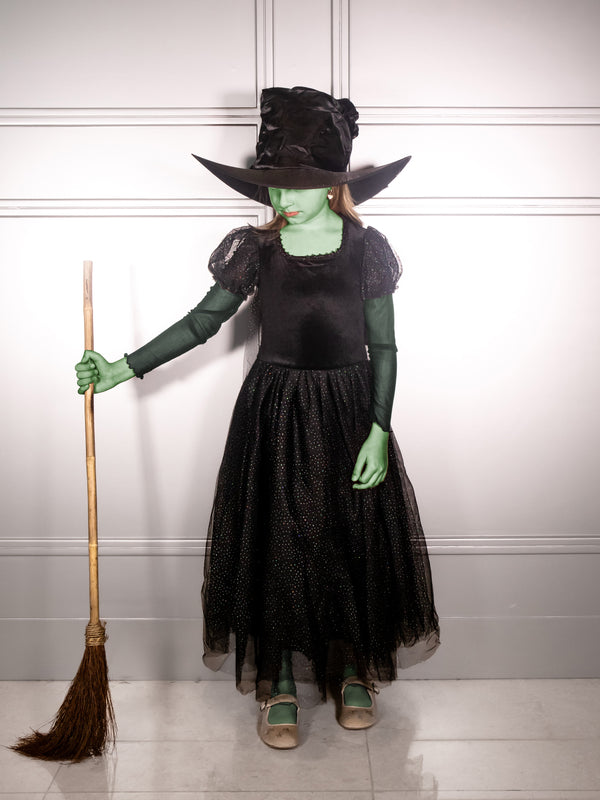 The Witch of the West  Costume Dress