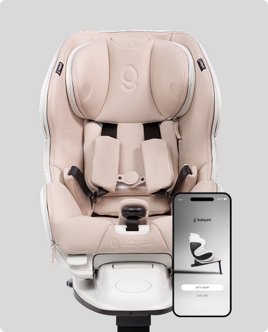Smart Convertible Car Seat