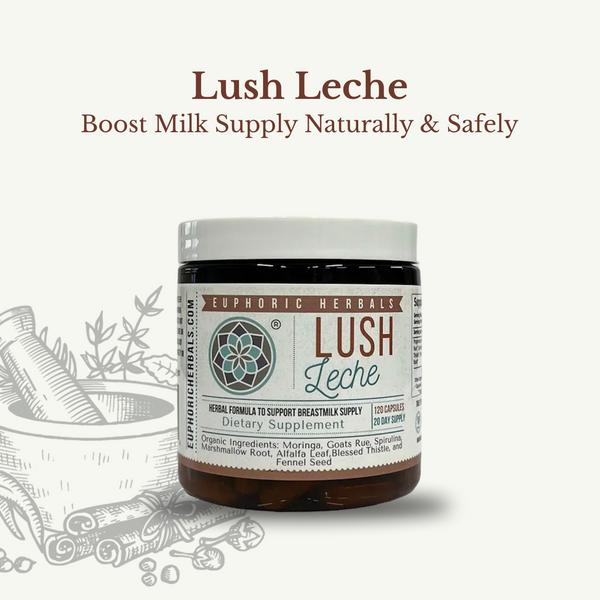 Lush Leche lactation support product for breastfeeding mothers, promoting healthy milk production.