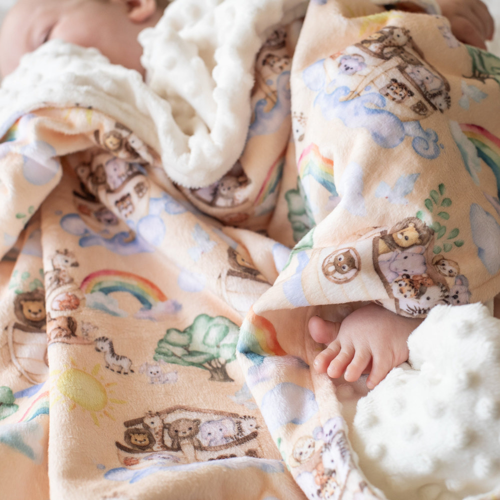 Noah's Ark Minky Baby Blanket