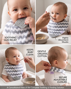 Healthy Horizons Reversible Bib with Silicone Teether