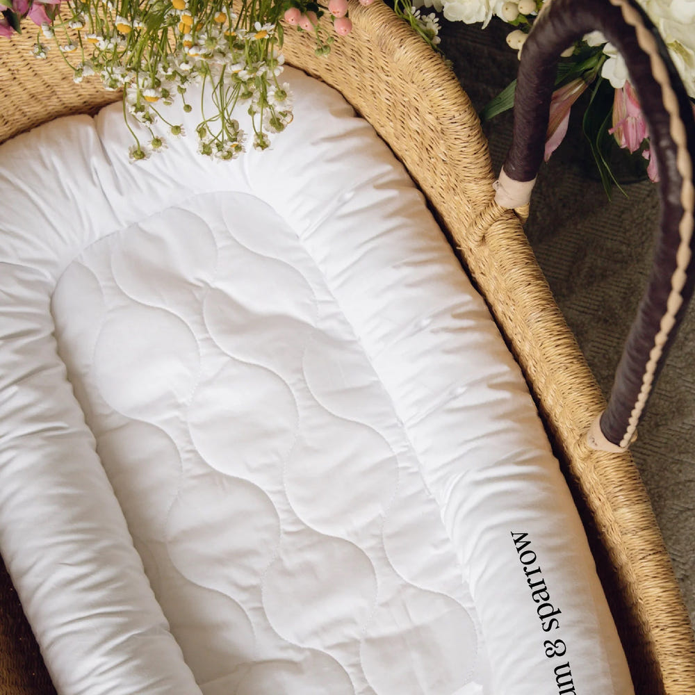 Cozy Nest Lounger for babies, providing comfort and support for safe lounging and playtime.