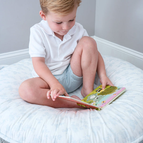 Darby Dino Boad Book