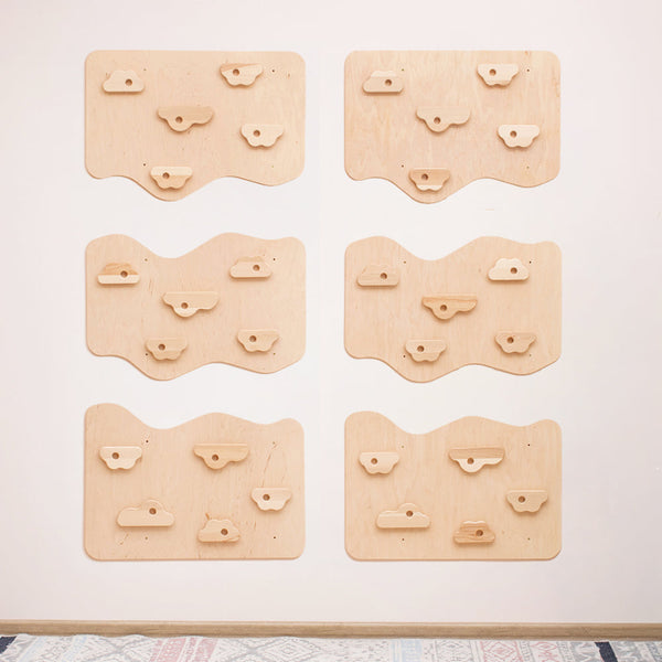 Home Climbing Wall