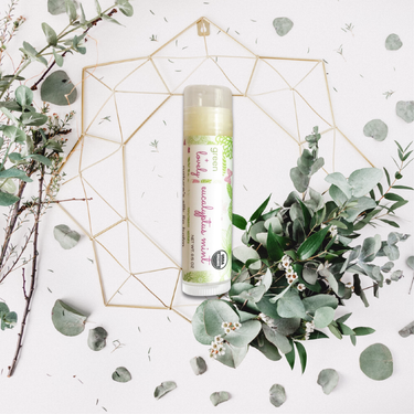 Eucalyptus Mint /// Organic Lip Balm Butter for Intense Moisture - MOOGCO Baby