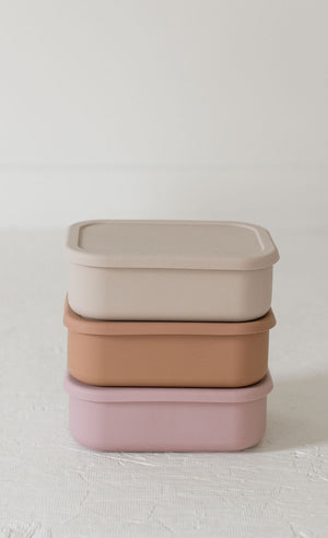 Silicone Bento box