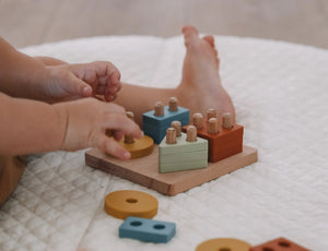 Montessori Shape Puzzle Toy | LYTL®️