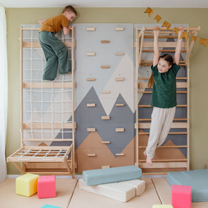 Swedish Ladder Wall Gym
