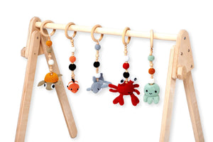 Montessori Baby Gym & Hanging Toys Set | Wooden Play Gym for Babies