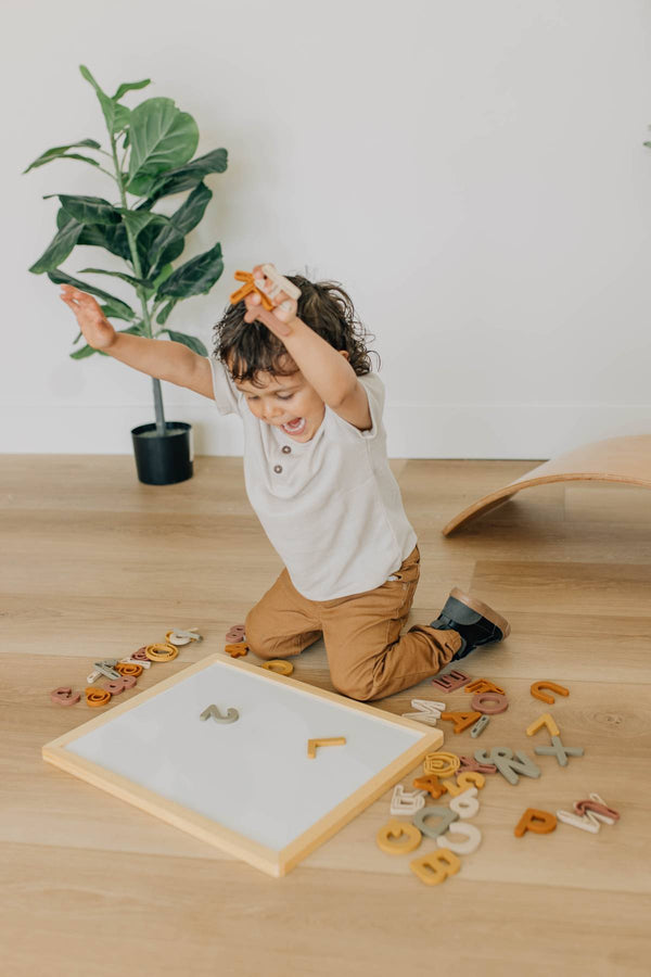Alphabet Magnet Play Set