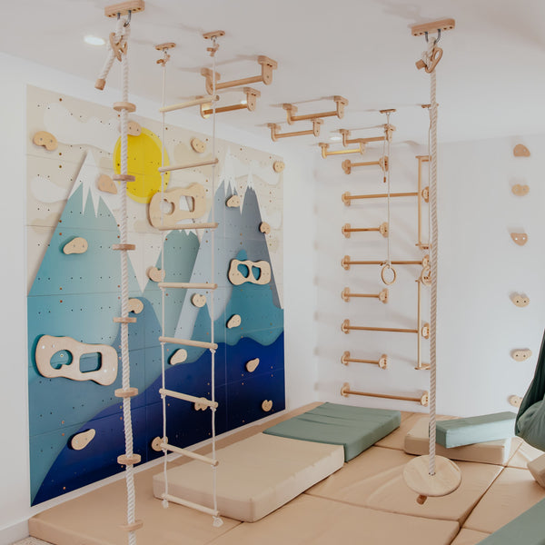Children's Home Gym