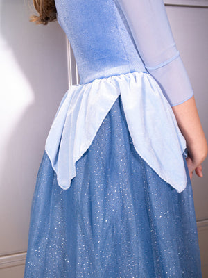 The Blue Sleeping Princess Dress
