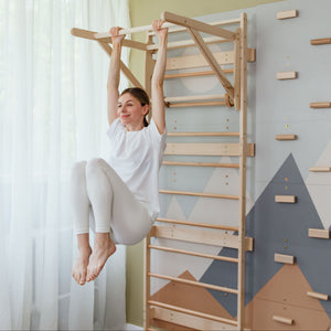 Swedish Ladder Wall Gym