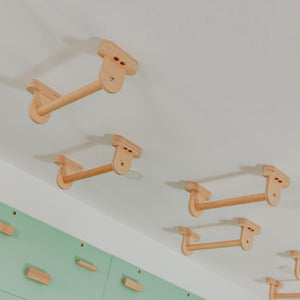 Monkey Bars Kit