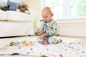 baby blanket - downeast daydreams