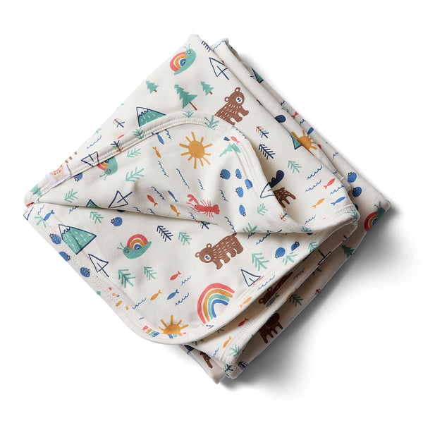 baby blanket - downeast daydreams