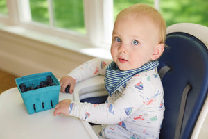 bandana bib - little pines