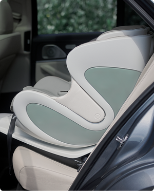 Smart Convertible Car Seat