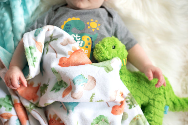 Premium Baby & Toddler Minky Blanket - Dinosaurs