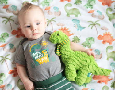 Dinosaurs Minky Baby Blanket - MOOGCO Baby