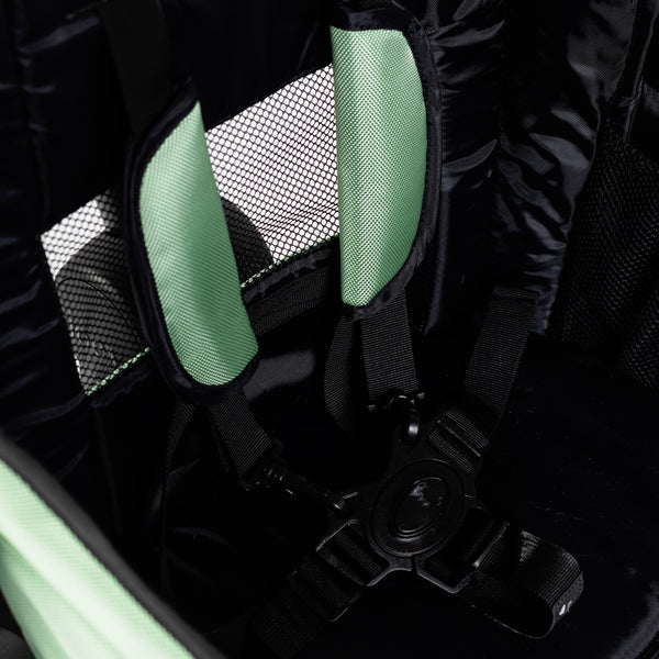 Spring Fern stroller wagon at angle 5, showcasing its stylish design and spacious interior for comfortable baby transport.
