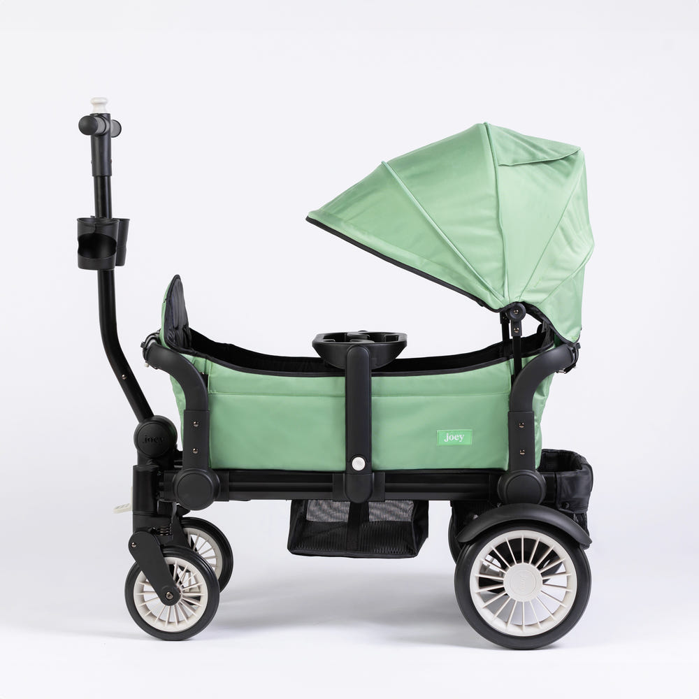 Spring Fern stroller wagon for babies, featuring a stylish design and durable construction for outdoor adventures.