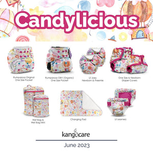 Lil Joey All In One Cloth Diaper (2 pk) - Candylicious