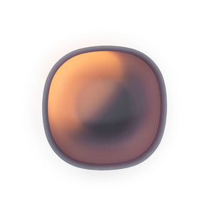 Color Changing Suction Bowl