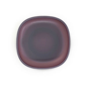 Color Changing Suction Plate