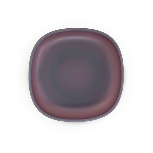 Color Changing Suction Plate