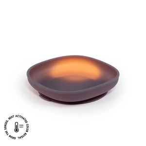 Color Changing Suction Plate