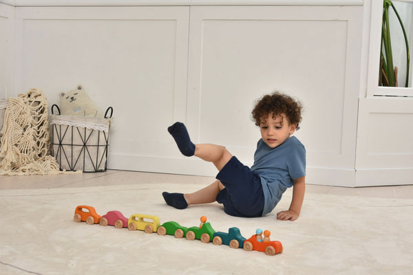 Wooden car toy set - 10 colorful pieces for indoor play, angled view showcasing vibrant designs and sturdy construction.