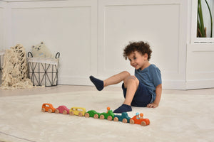 10-piece wooden car toy set for indoor play, showcasing colorful designs and durable craftsmanship.