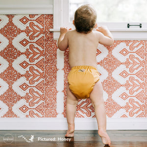 Rumparooz OBV G3 One Size Pocket Cloth Diaper - Storm White