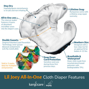Lil Joey All In One Cloth Diaper (2 pk) - Charlie