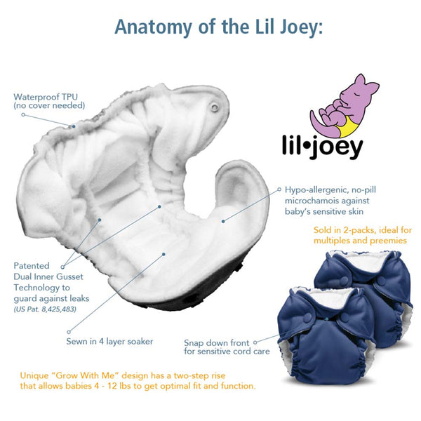 Lil Joey All In One Cloth Diaper (2 pk) - Platinum