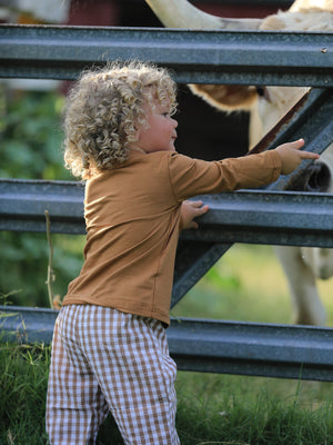Fall Boys Thanksgiving Smocking Embroidered Brown Plaid Outfit Set