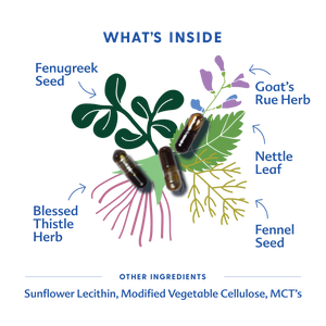 More Milk® Special Blend - Liquid Capsules - MOOGCO Baby