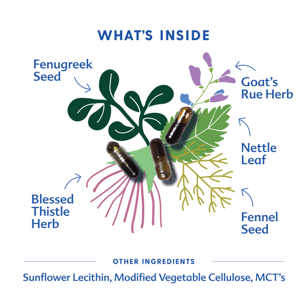 More Milk® Special Blend - Liquid Capsules - MOOGCO Baby