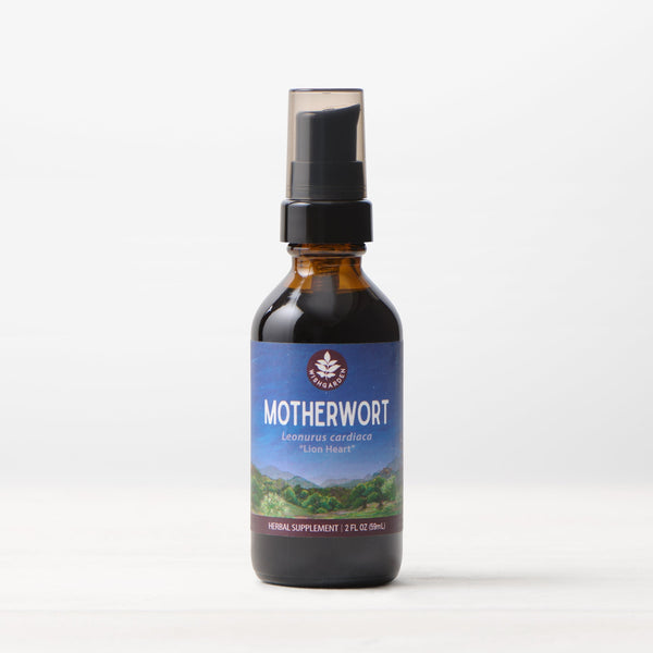 Motherwort