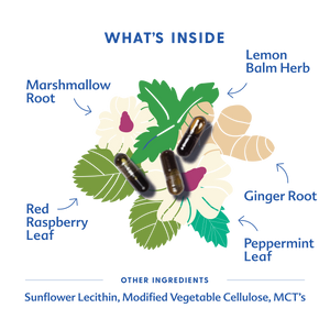 Morning Sickness Blend - Liquid Capsules - MOOGCO Baby