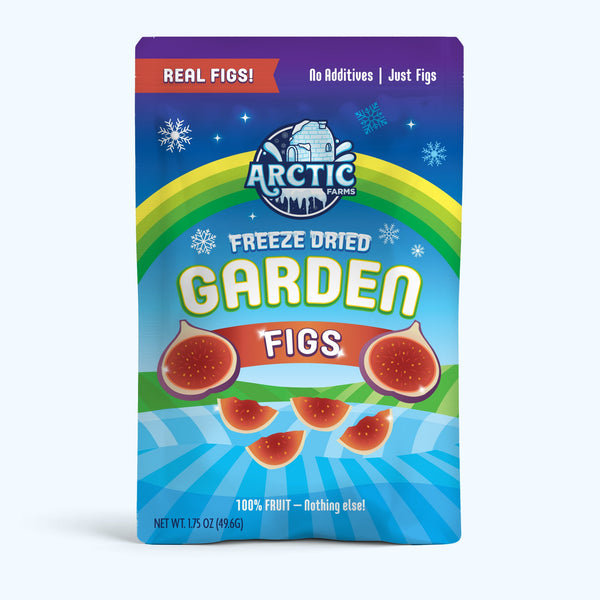 Freeze Dried Figs